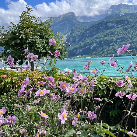 Chalet Romantica Carpe Diem Best View Best Location Brienz  Εξωτερικό φωτογραφία