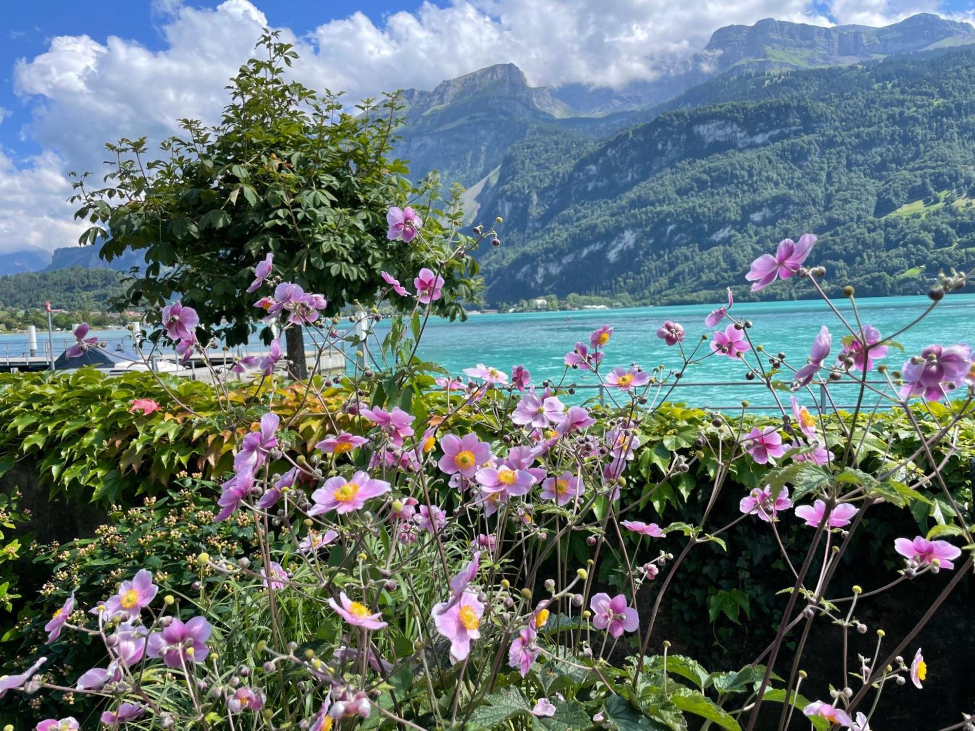 Chalet Romantica Carpe Diem Best View Best Location Brienz  Εξωτερικό φωτογραφία